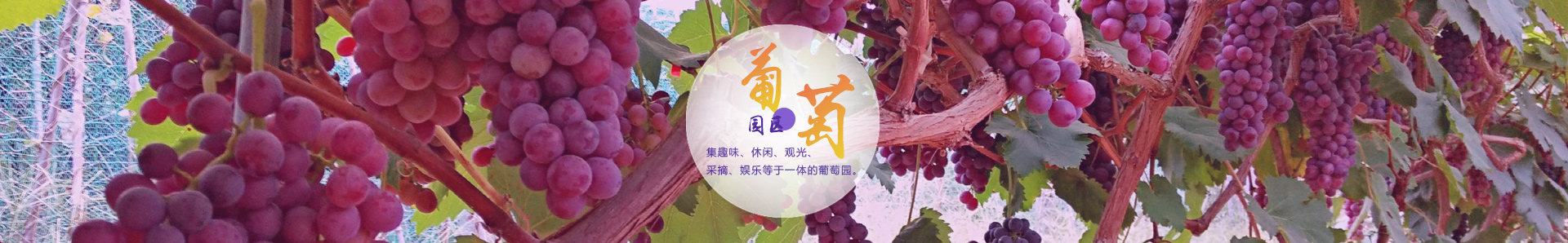 葡萄園
