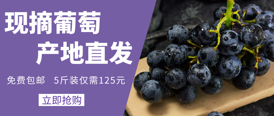 微信專享丨大觀園夏黑葡萄特大鉅惠，5斤裝僅需125元，免費包郵！